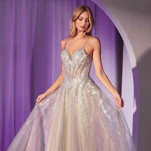 NEW LONG FORMAL SLEEVELESS LONG GOWN W/ V-NECKLINE & CRYSTAL EMBROIDERY CD786